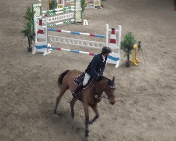 Reitturnier Grevenbroich - Gut Neuhaus 2017