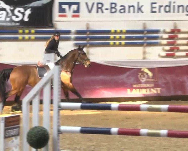Reitturnier Eicherloh RH Laurent 2017