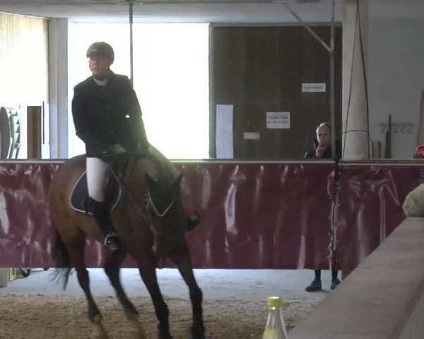 Reitturnier Eicherloh RH Laurent 2017