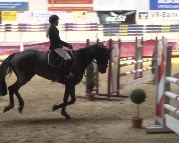 Reitturnier Eicherloh RH Laurent 2017