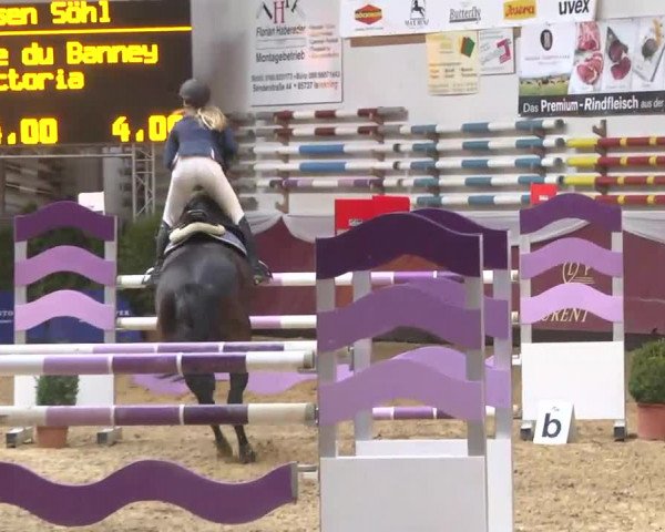 Reitturnier Eicherloh RH Laurent 2017