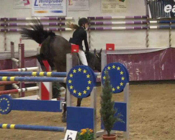 Reitturnier Eicherloh RH Laurent 2017