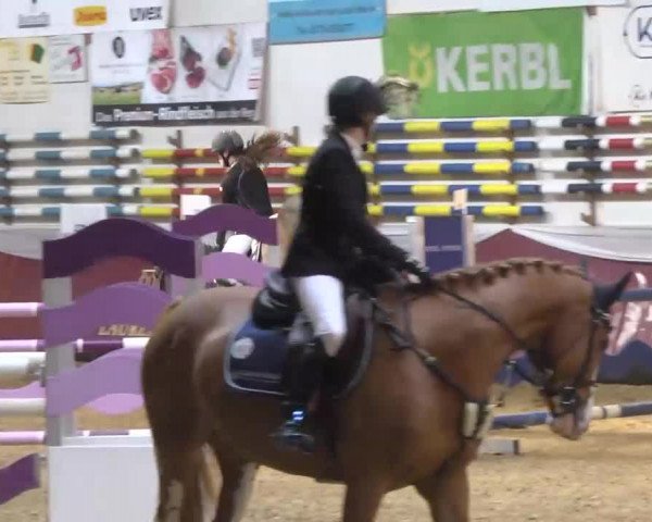 Reitturnier Eicherloh RH Laurent 2017