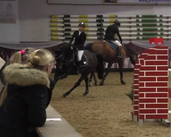 Reitturnier Eicherloh RH Laurent 2017