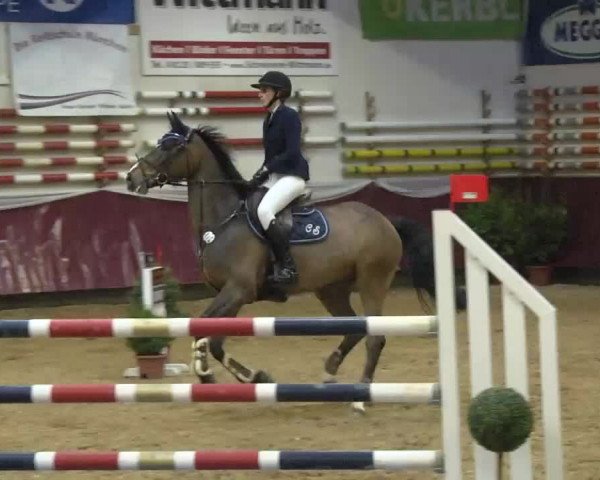 Reitturnier Eicherloh RH Laurent 2017