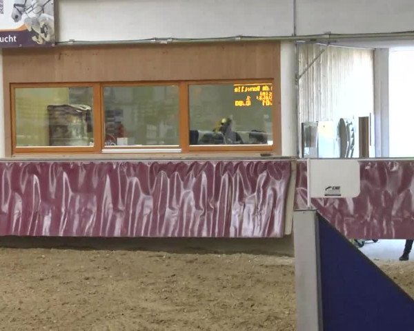 Reitturnier Eicherloh RH Laurent 2017