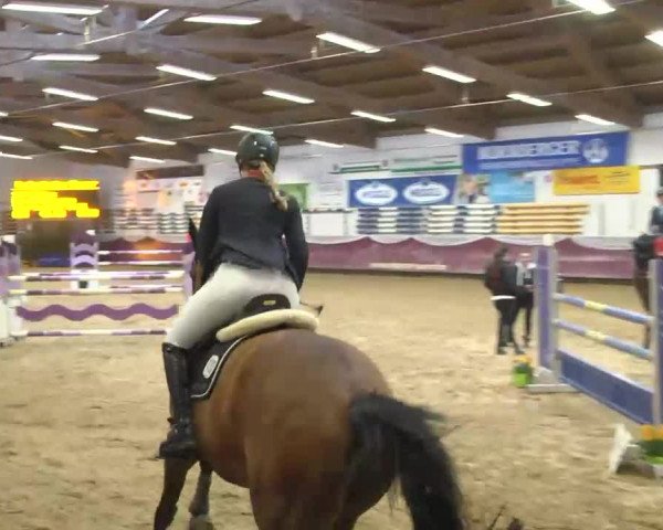 Reitturnier Eicherloh RH Laurent 2017