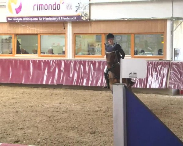 Reitturnier Eicherloh RH Laurent 2017