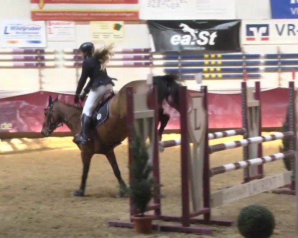 Reitturnier Eicherloh RH Laurent 2017