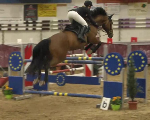 Reitturnier Eicherloh RH Laurent 2017