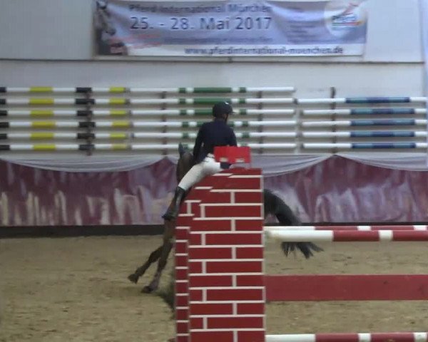 Reitturnier Eicherloh RH Laurent 2017