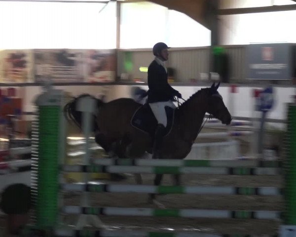 Reitturnier Lindlar-Süttenbach 2017