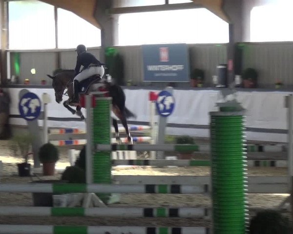Reitturnier Lindlar-Süttenbach 2017