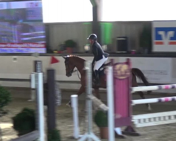 Reitturnier Lindlar-Süttenbach 2017