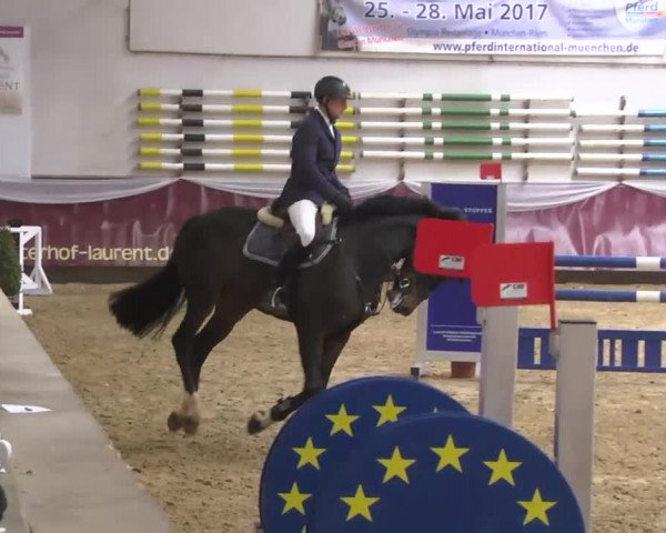 Reitturnier Eicherloh RH Laurent 2017