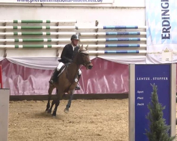 Reitturnier Eicherloh RH Laurent 2017