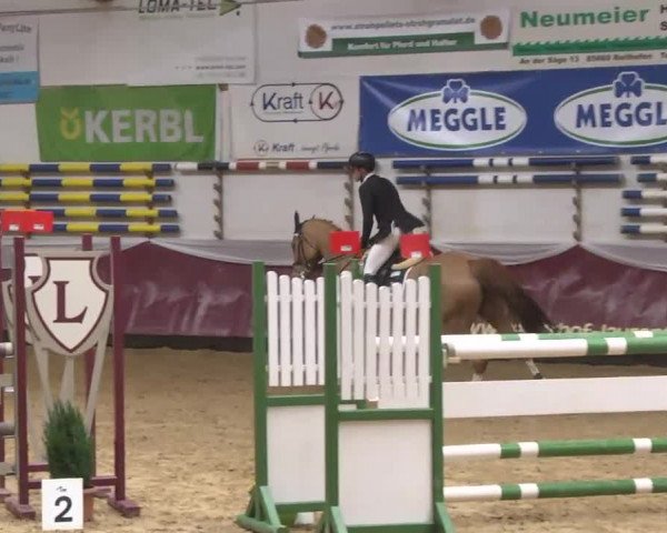 Reitturnier Eicherloh RH Laurent 2017