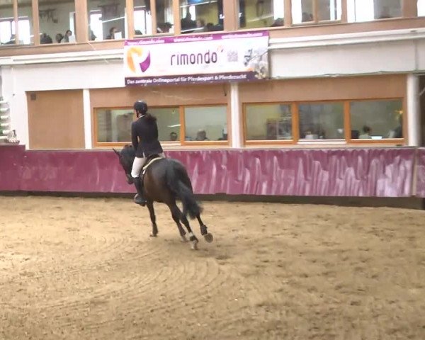 Reitturnier Eicherloh RH Laurent 2017