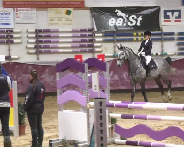 Reitturnier Eicherloh RH Laurent 2017