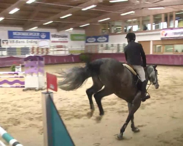 Reitturnier Eicherloh RH Laurent 2017