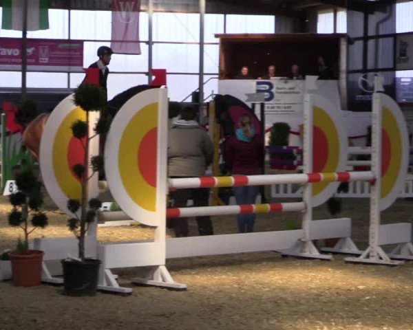 Reitturnier Rhede-Krommert 2017