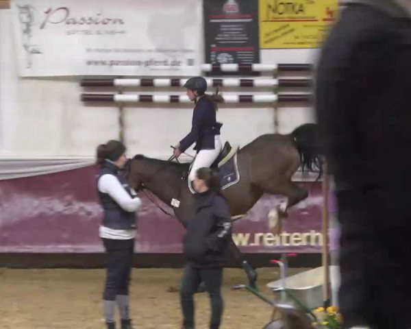 Reitturnier Eicherloh RH Laurent 2017