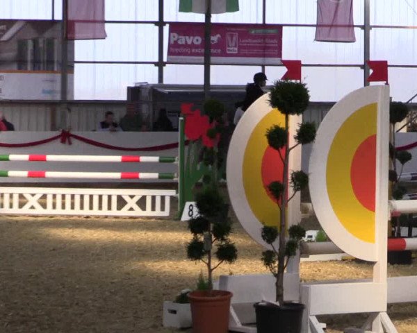 Reitturnier Rhede-Krommert 2017