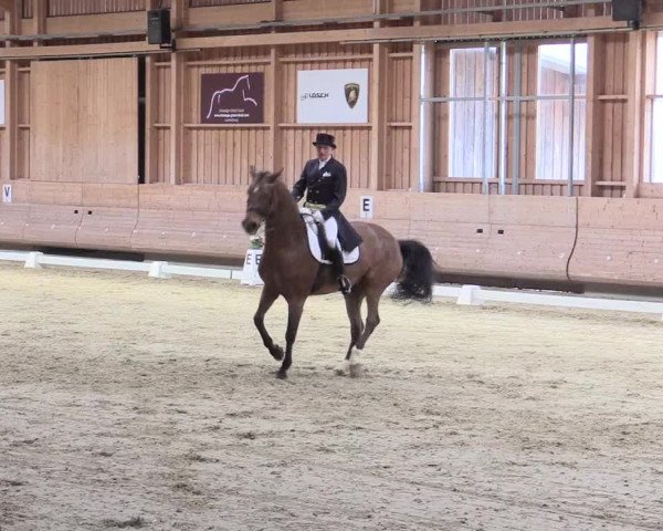 Reitturnier Leudelange-Ecuries des Prés 2017