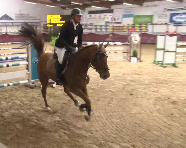 Reitturnier Eicherloh RH Laurent 2017