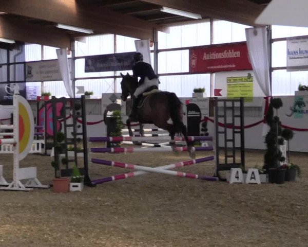 Reitturnier Rhede-Krommert 2017