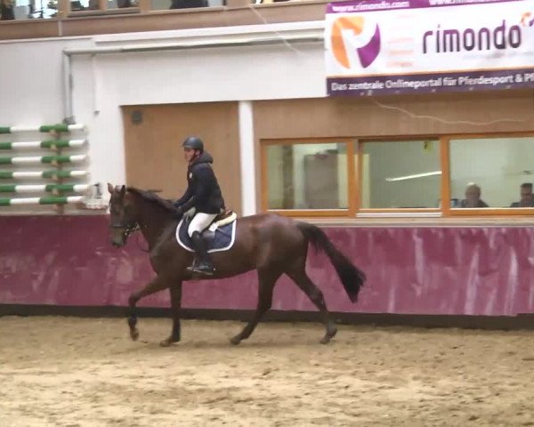 Reitturnier Eicherloh RH Laurent 2017