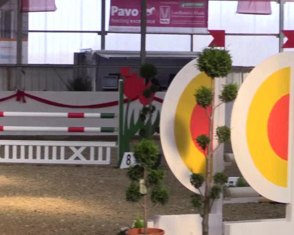 Reitturnier Rhede-Krommert 2017
