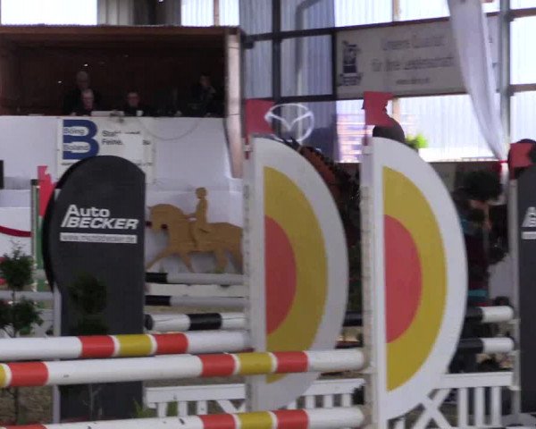 Reitturnier Rhede-Krommert 2017