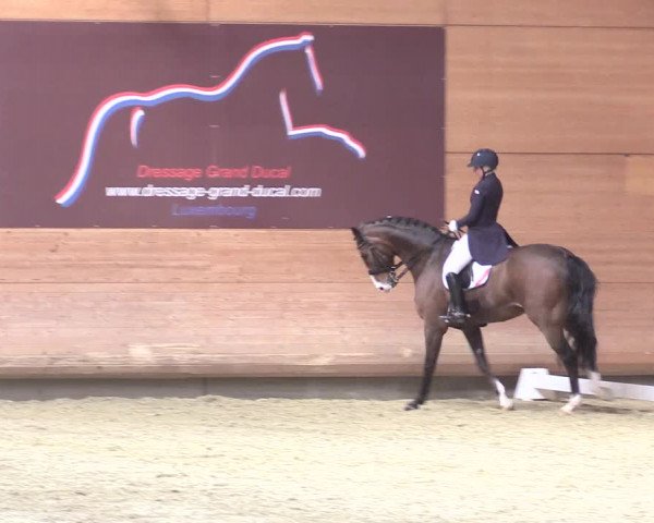 Reitturnier Leudelange-Ecuries des Prés 2017