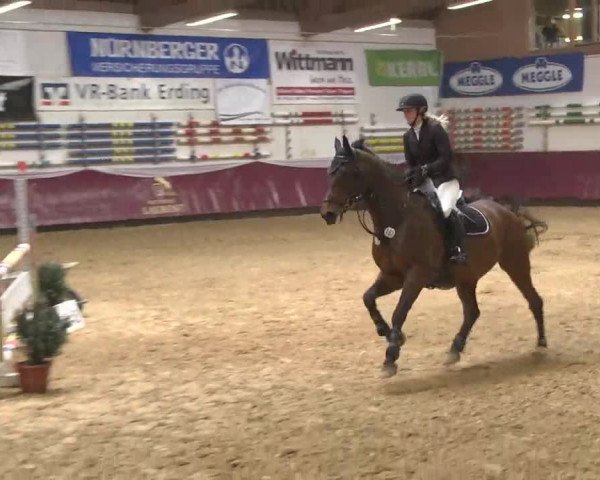 Reitturnier Eicherloh RH Laurent 2017