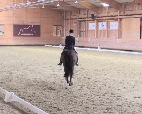Reitturnier Leudelange-Ecuries des Prés 2017