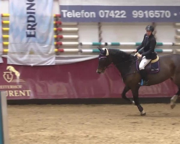 Reitturnier Eicherloh RH Laurent 2017