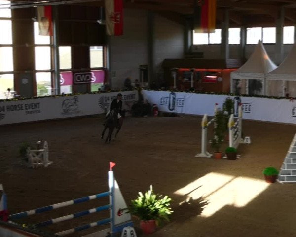 Christmas Jumping Trophy Prussendorf 2021