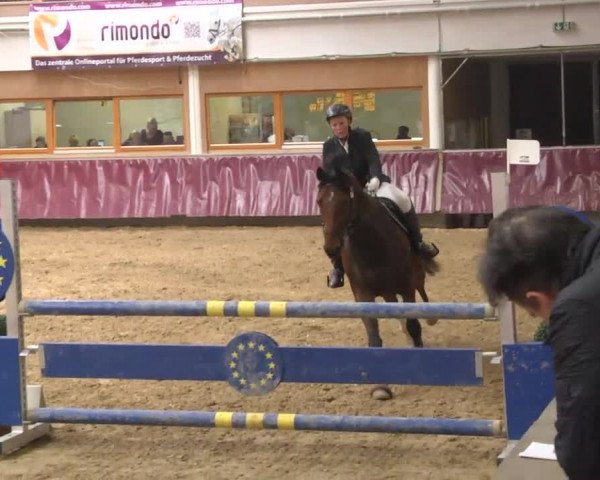 Reitturnier Eicherloh RH Laurent 2017