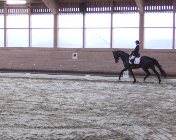 Reitturnier Leudelange-Ecuries des Prés 2017