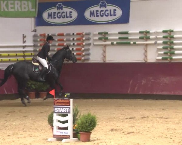 Reitturnier Eicherloh RH Laurent 2017