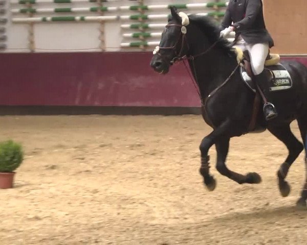 Reitturnier Eicherloh RH Laurent 2017