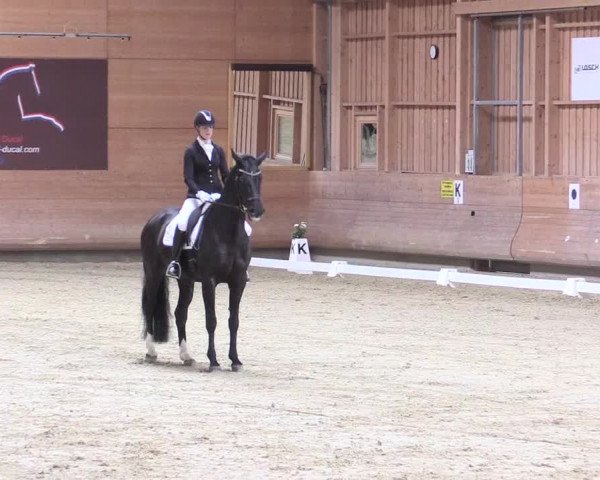 Reitturnier Leudelange-Ecuries des Prés 2017