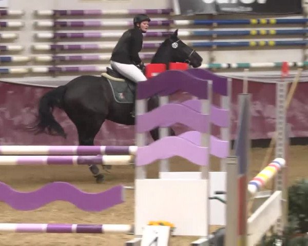 Reitturnier Eicherloh RH Laurent 2017