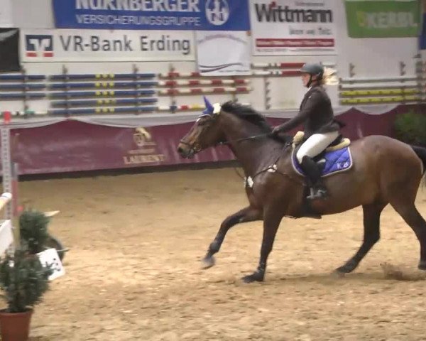 Reitturnier Eicherloh RH Laurent 2017