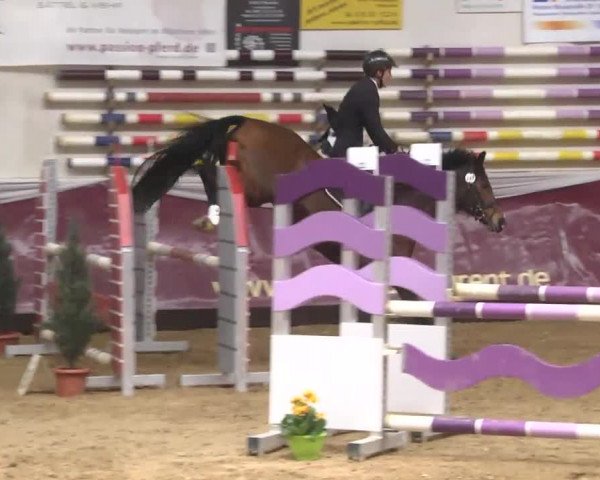 Reitturnier Eicherloh RH Laurent 2017