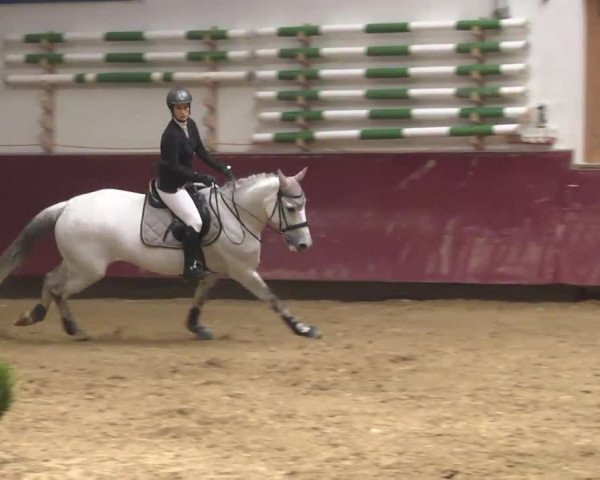Reitturnier Eicherloh RH Laurent 2017