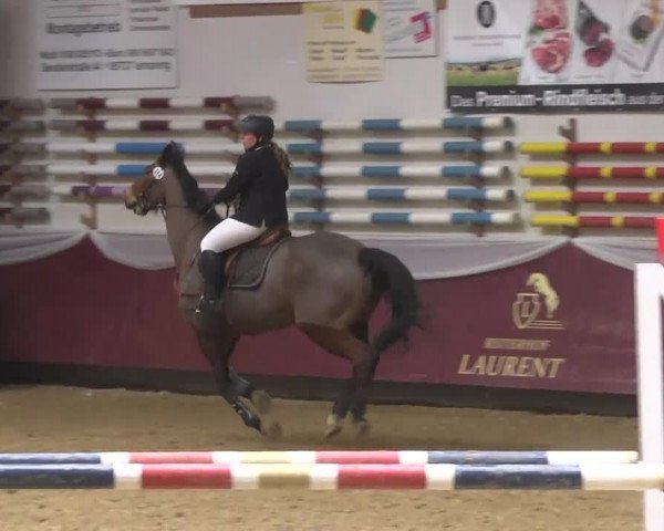Reitturnier Eicherloh RH Laurent 2017
