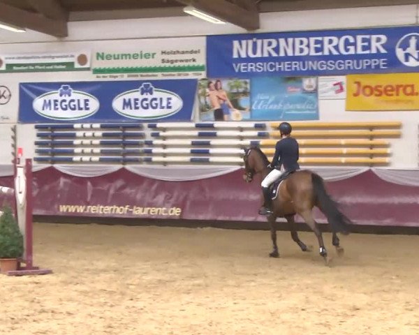 Reitturnier Eicherloh RH Laurent 2017