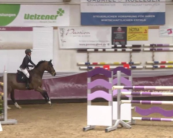 Reitturnier Eicherloh RH Laurent 2017